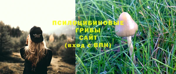 молекула духа Алексеевка