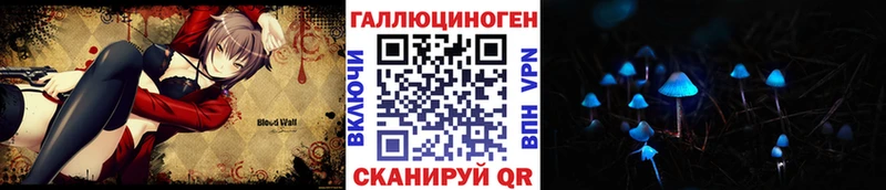 Галлюциногенные грибы Psilocybine cubensis  Тогучин 